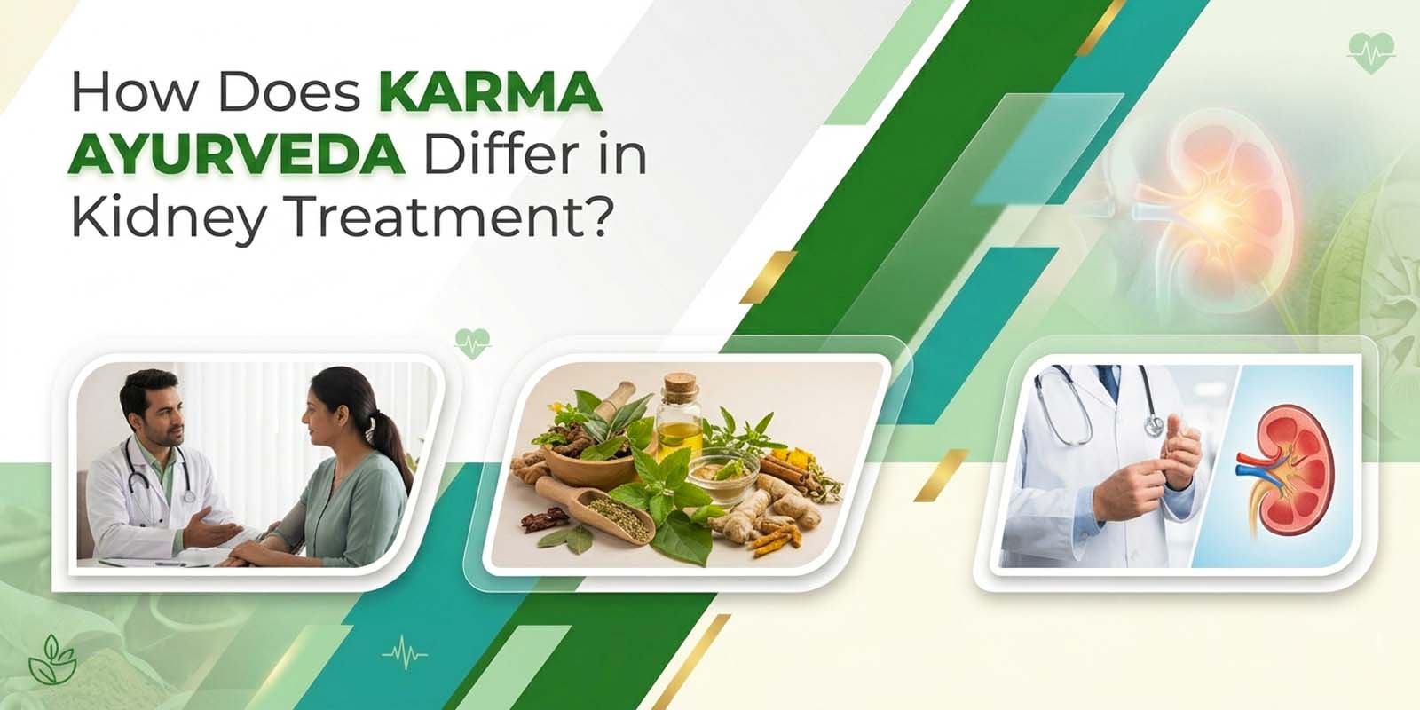 How Does Karma Ayurveda Differ in Kidney Treatment?
